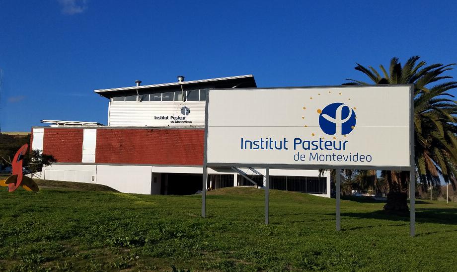 En 2020, des recherches sur le coronavirus ont débuté à l'Institut Pasteur de Montevideo, en Uruguay, en collaboration avec l'Argentine, le Brésil et la France