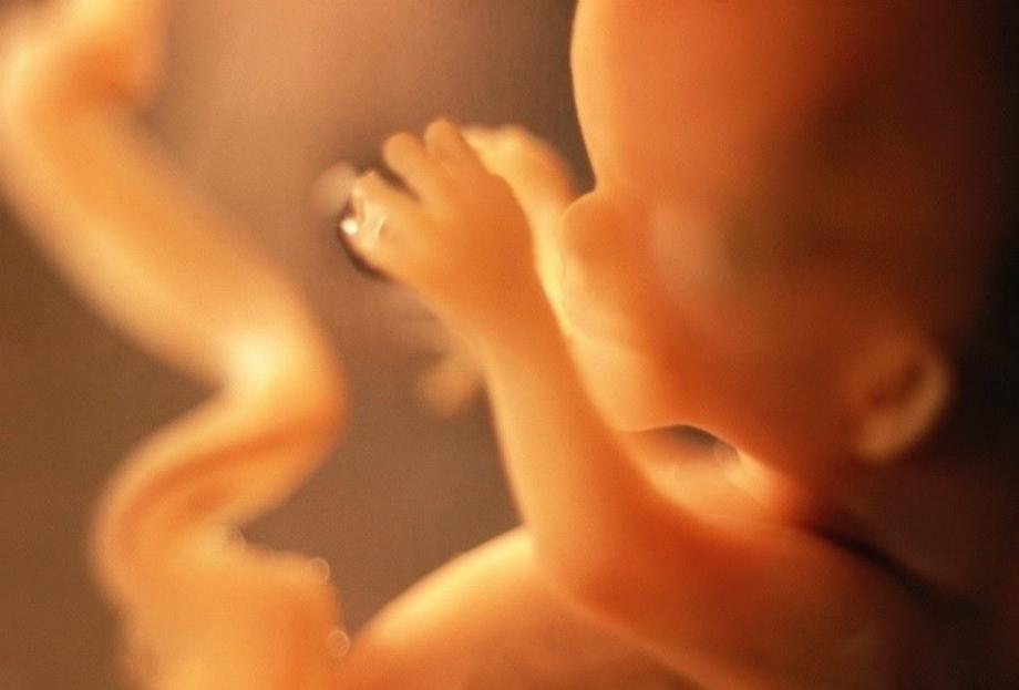 Le COVID-19 affecte-t-il le développement du fœtus ? Une question qui divise les scientifiques