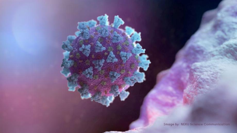 Le virus qui génère le COVID a encore des aspects inconnus des scientifiques/NEXU Science Communication/via REUTERS/File