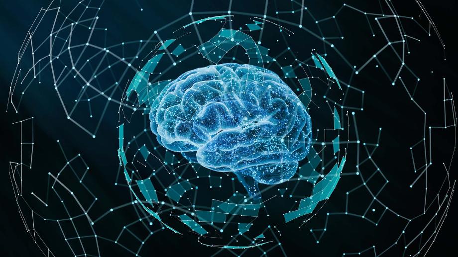 De l'étude UK Biobank montrant une atrophie cérébrale, une perte de matière grise et un déclin cognitif chez environ 400 personnes atteintes de COVID-19