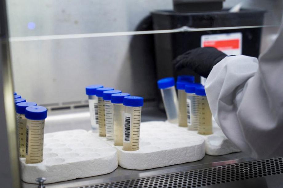 Un technicien de laboratoire teste des échantillons d'eaux usées de partout aux États-Unis pour la maladie à coronavirus (COVID-19) chez Biobot Analytics à Cambridge, Massachusetts, États-Unis (REUTERS/Allison Dinner)