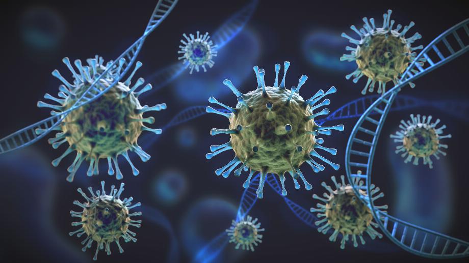 Une étude réalisée en Inde a suggéré que la production d'anticorps suite à l'infection par le coronavirus pourrait conduire à une grave dengue (Getty)