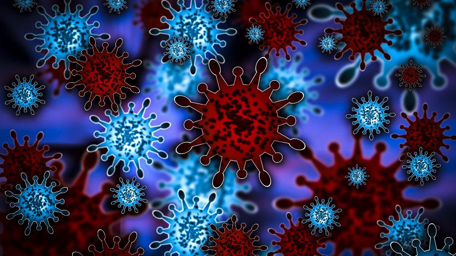 Dans une autre découverte de 2023, des experts suédois se sont penchés sur le rôle des cellules dendritiques, qui constituent un type de globules blancs, dans la réponse immunitaire au SRAS-CoV-2 (Getty)