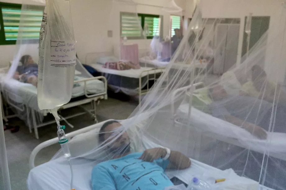 Au Paraguay, une alerte a été émise pour des cas de co-infection par la dengue et le COVID. En décembre, 15 personnes ont déjà été diagnostiquées co-infectées / EFE/Andrés Cristaldo Benitez/Archivo