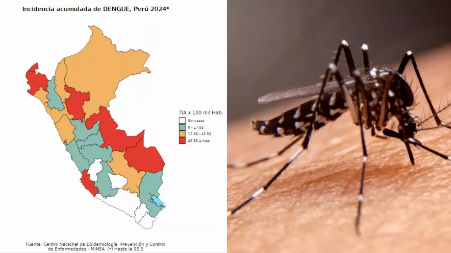 Piura, Ica, San Martin, Ucayali et Madre de Dios sont les régions où l'incidence des cas de dengue est la plus élevée. (Composition Infobae/CDC Minsa)